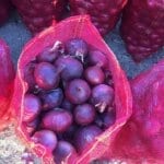 ⁦بصل أحمر⁩ - الصورة ⁦2⁩