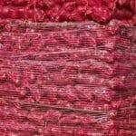 Red Onion - Image 2