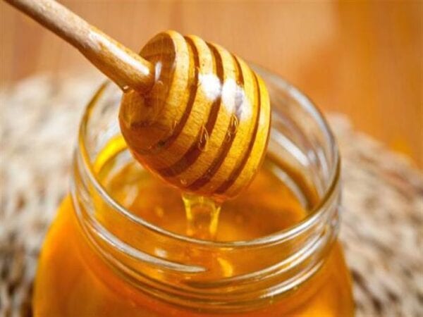 الخطة الحكومية في تطوير تربية النحل ورفع الصادرات المصرية من عسل النحل