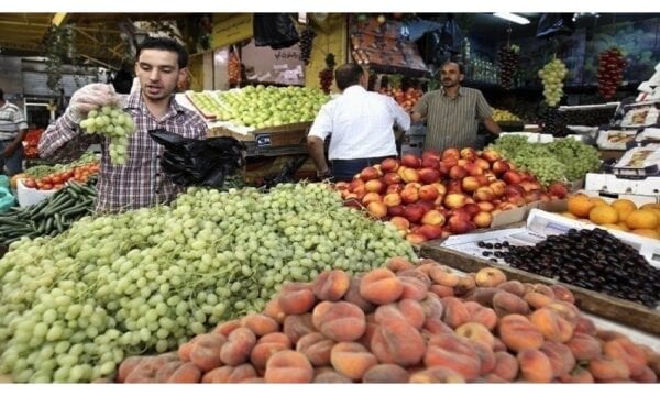 حالات الدول التي تطلب شهادة التحليل عن كل شحنة للتصدير