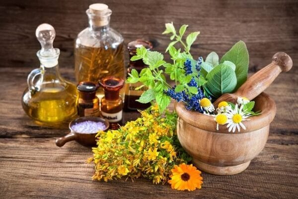 تصدير النباتات الطبية والعطرية وأهم مميزاتها