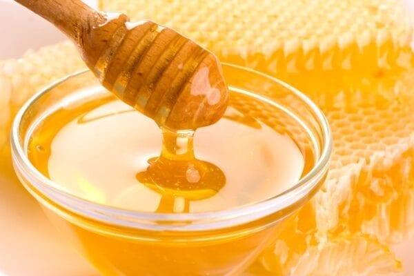 مصر من أهم الدول في إنتاج العسل الطبيعي 