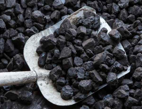 Export Coal