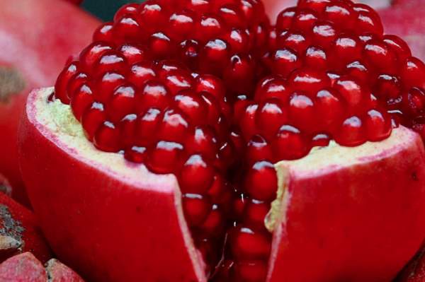 Export Pomegranate