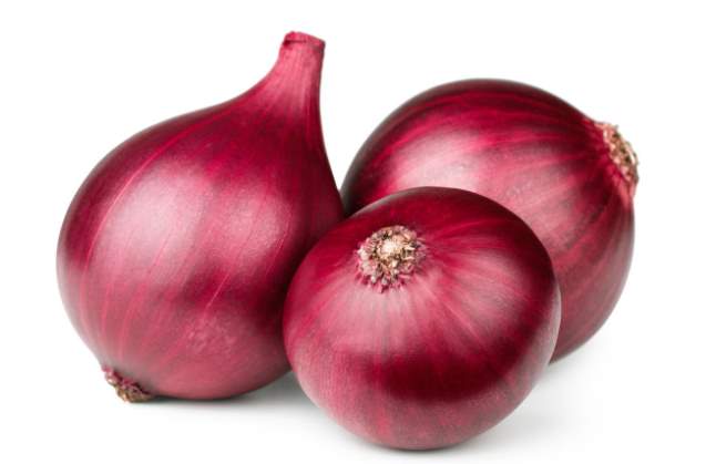 Red Onion Exporters In Egypt