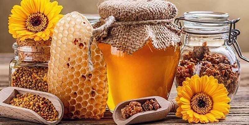 تصدير العسل من مصر إلى الخارج