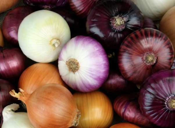 The different types of onions