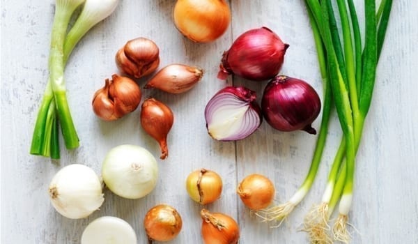 red onion varieties
