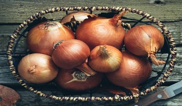 Sweet onion varieties