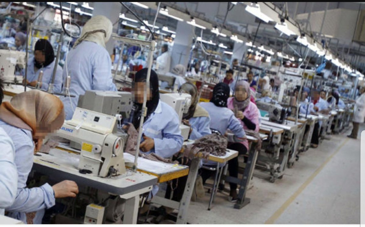 مصانع ملابس داخلية قطنية في مصر