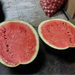 Watermelon - Image 4