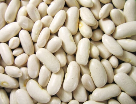 wholesale price white kidney beans