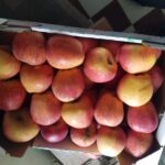 ⁦تفاح تعاونية الفلاح جودة عالية ذات معايير صحية⁩ - الصورة ⁦3⁩