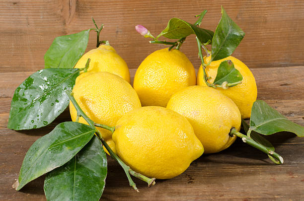 Yorka lemon