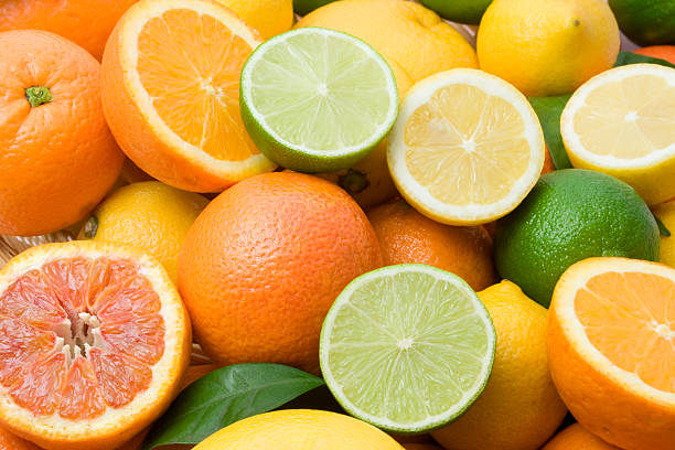 تصدير الموالح من مصر تصدير الموالح الموالح المصرية Exporting citrus from Egypt Citrus export Maritime citrus shipping