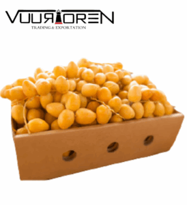 VUURTOREN BARHY DATES – Fresh Sweetness – 5kg Bulk Option