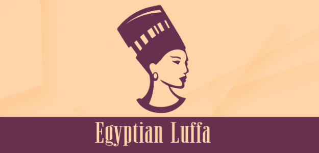 Egyptian Luffa