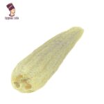 Raw Egyptian Loofah