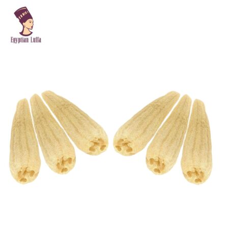 Raw Egyptian Loofah