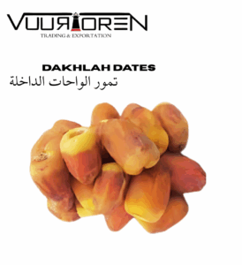 VUURTOREN DAKHLAH DATES 3-Pack Premium – Vibrant, Sweet, Nutrient-Rich