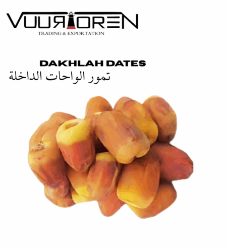 VUURTOREN DAKHLAH DATES 3-Pack Premium – Vibrant, Sweet, Nutrient-Rich