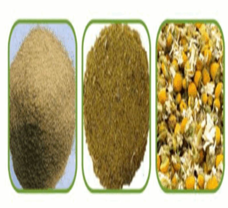 البابونج من VineLand