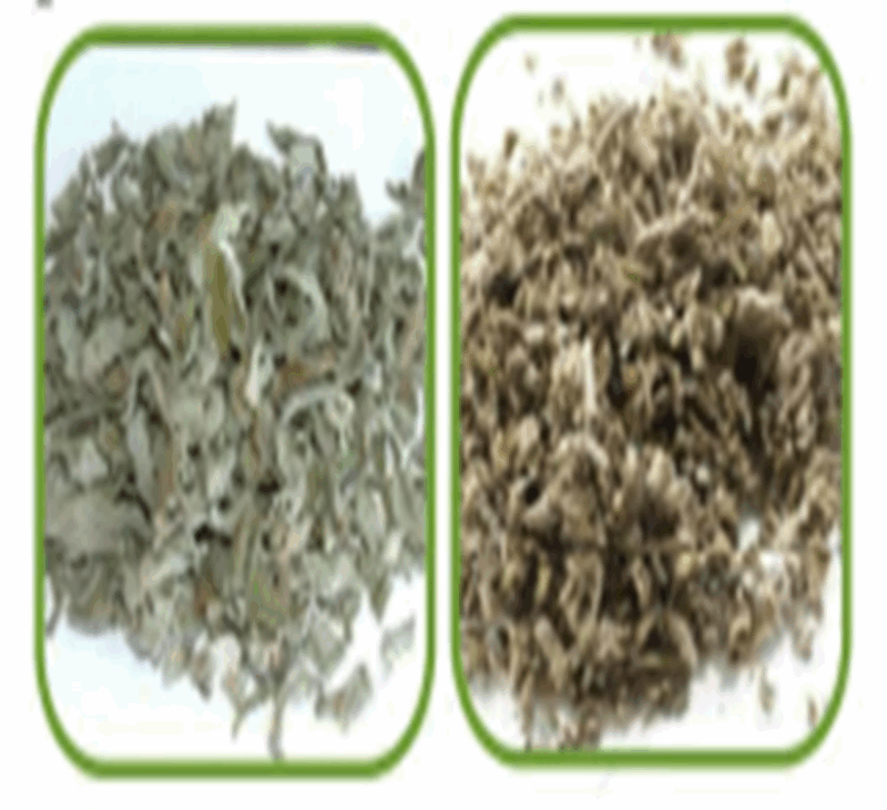 Dried Sage from vine land